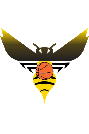 MONTAMISÉ BASKET ASSOCIATION